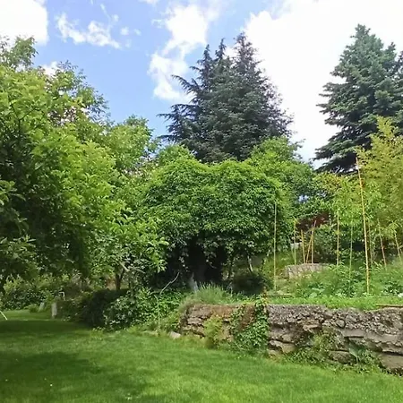 Forest House Ferienhaus
